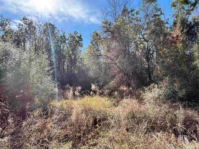0 Barnhill Farm Road, Loxley, AL 36551