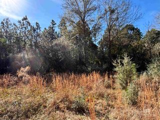 0 Barnhill Farm Road, Loxley, AL 36551