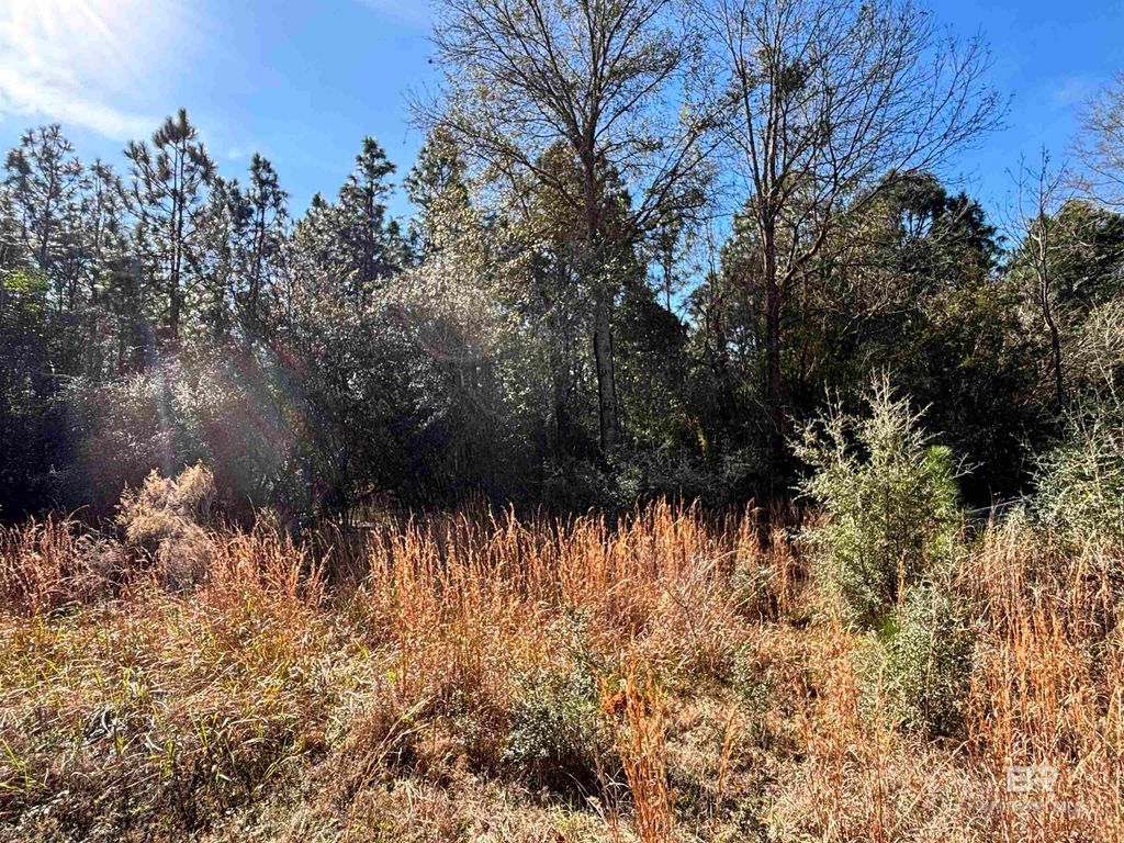 0 Barnhill Farm Road, Loxley, AL 36551