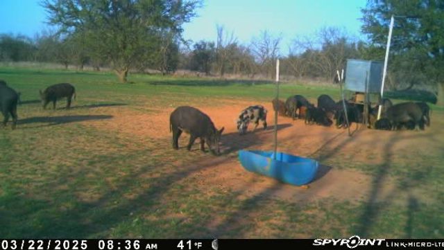 1712 Wells East Road W, Newcastle, TX 76372