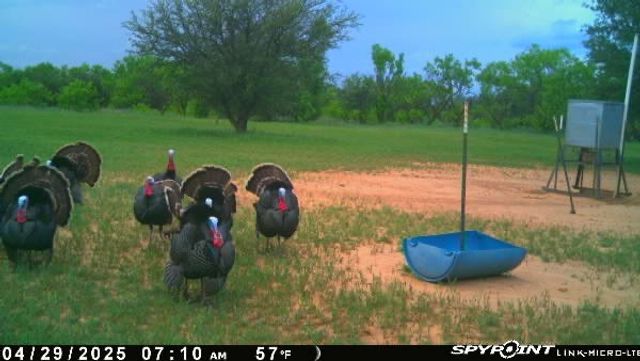 1712 Wells East Road W, Newcastle, TX 76372