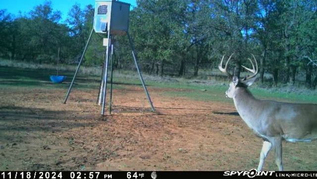 1712 Wells East Road W, Newcastle, TX 76372