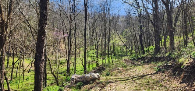 0 Chapman Hollow Rd, Dowelltown, TN 37059