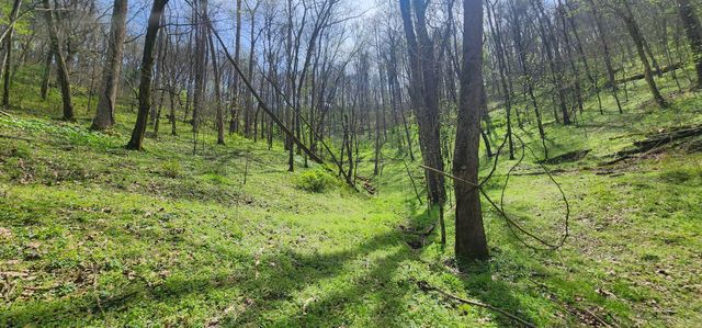 0 Chapman Hollow Rd, Dowelltown, TN 37059