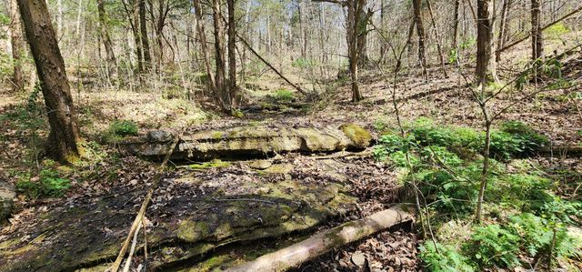 0 Chapman Hollow Rd, Dowelltown, TN 37059