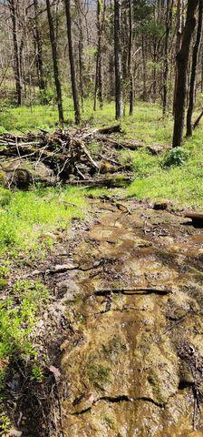 0 Chapman Hollow Rd, Dowelltown, TN 37059