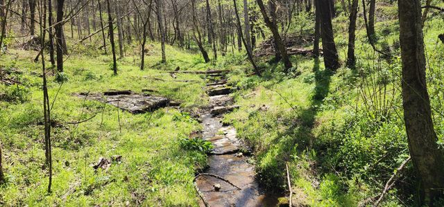 0 Chapman Hollow Rd, Dowelltown, TN 37059