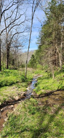 0 Chapman Hollow Rd, Dowelltown, TN 37059