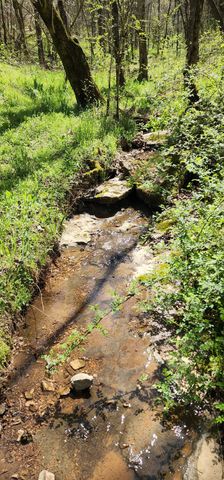 0 Chapman Hollow Rd, Dowelltown, TN 37059