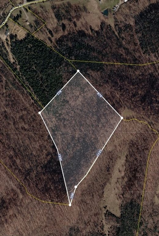 0 Chapman Hollow Rd, Dowelltown, TN 37059