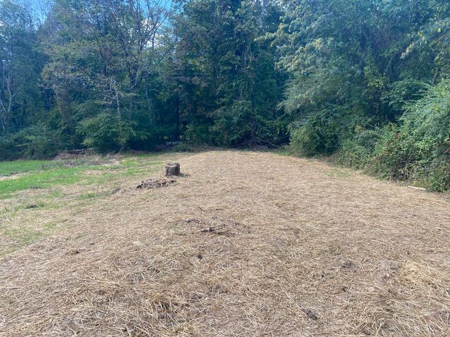 2015 Oak Street, Signal Mountain, TN 37377