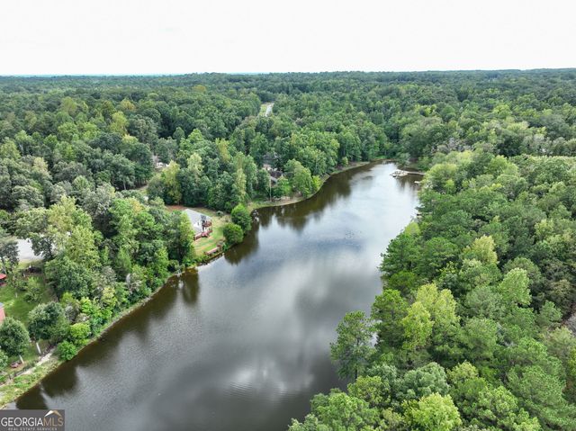 241 Spring Hill Drive, Ellerslie, GA 31807