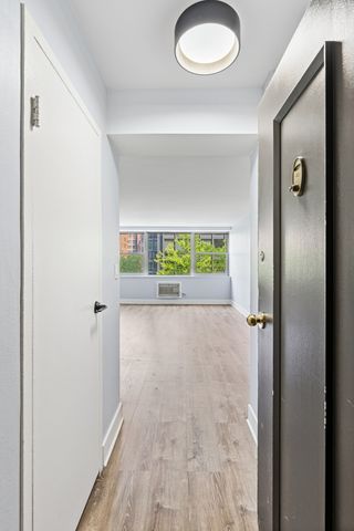 253 E DELAWARE Place 4D, Chicago, IL 60611