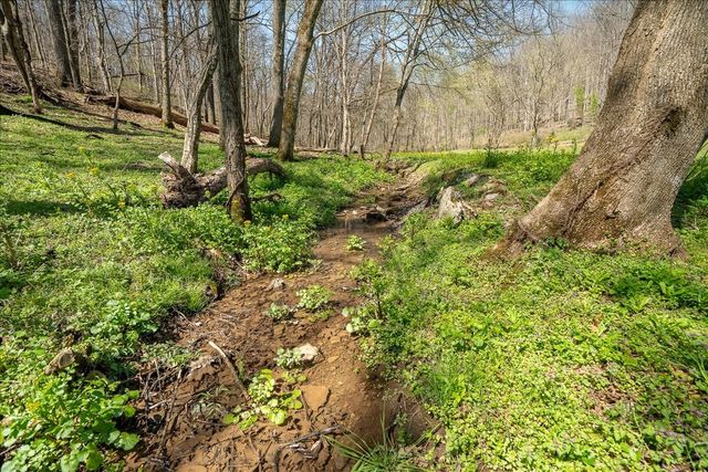 4380 Pulaski Hwy, Culleoka, TN 38451