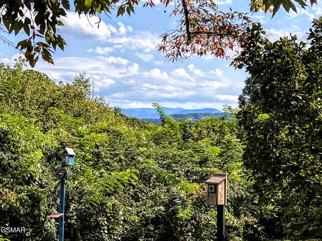 2531 Highland Park Drive, Pigeon Forge, TN 37863