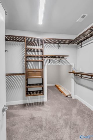 121 Carleighfalls Drive, Meridianville, AL 35759