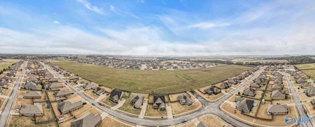 121 Carleighfalls Drive, Meridianville, AL 35759