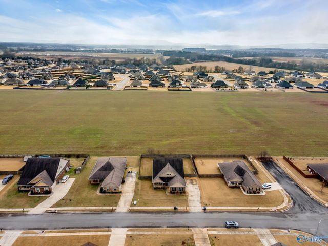 121 Carleighfalls Drive, Meridianville, AL 35759