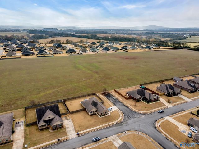 121 Carleighfalls Drive, Meridianville, AL 35759