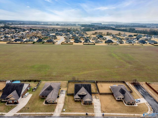 121 Carleighfalls Drive, Meridianville, AL 35759