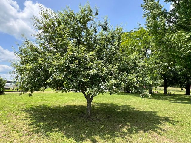 4117 County Road 2600, Willow Springs, MO 65793