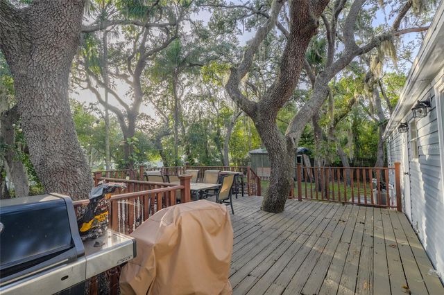 1419 OSCEOLA HOLLOW ROAD, Odessa, FL 33556