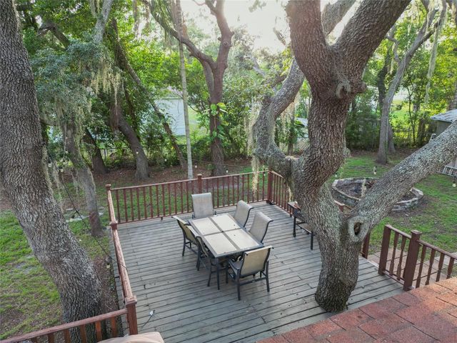 1419 OSCEOLA HOLLOW ROAD, Odessa, FL 33556