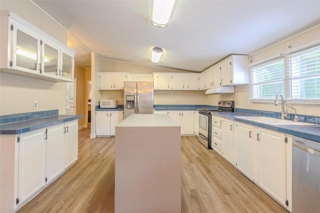 1419 OSCEOLA HOLLOW ROAD, Odessa, FL 33556