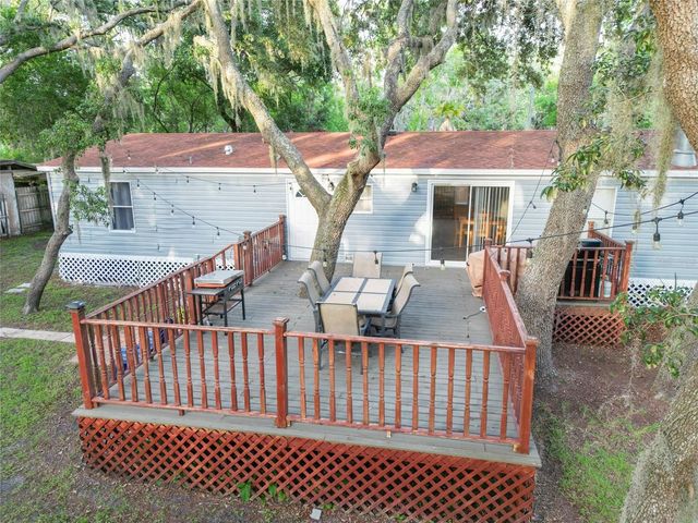 1419 OSCEOLA HOLLOW ROAD, Odessa, FL 33556