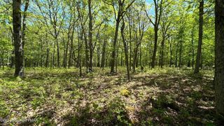 Lot 151 Bear Drive, Pike, PA 18324
