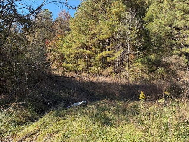 0 Whitestone Road, Talking Rock, GA 30175