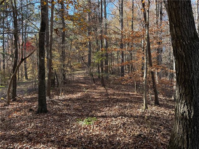 0 Whitestone Road, Talking Rock, GA 30175