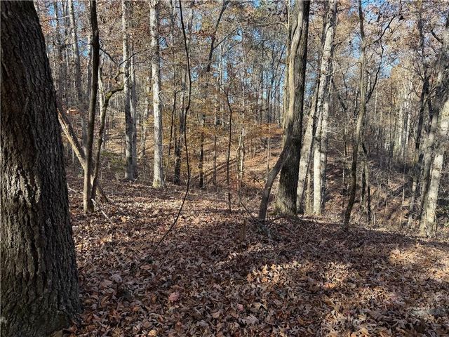 0 Whitestone Road, Talking Rock, GA 30175