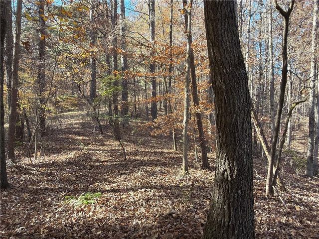 0 Whitestone Road, Talking Rock, GA 30175