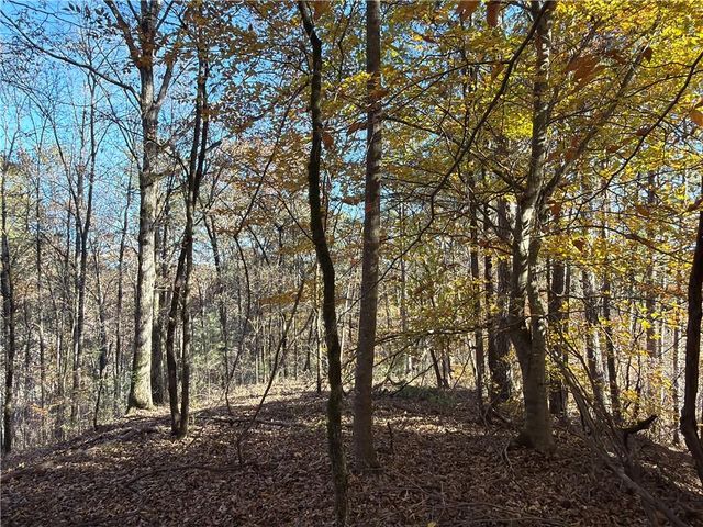 0 Whitestone Road, Talking Rock, GA 30175