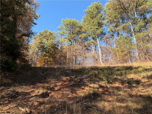 0 Whitestone Road, Talking Rock, GA 30175