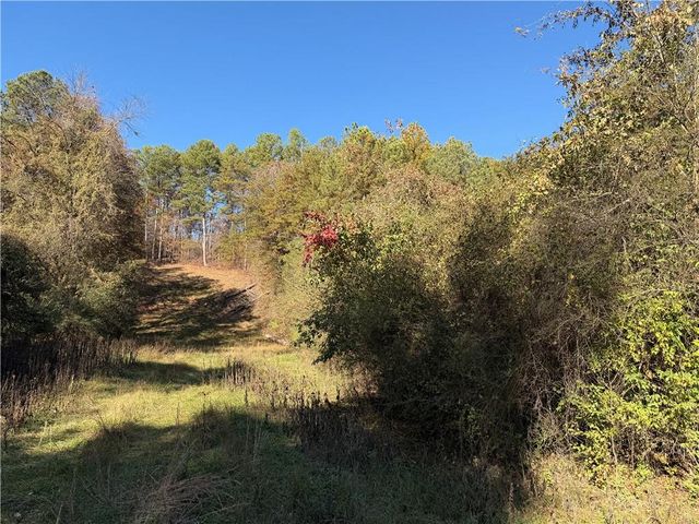 0 Whitestone Road, Talking Rock, GA 30175