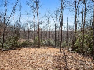 0 Alpen Rose Way 2, Mills River, NC 28759