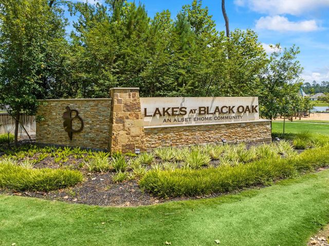 16 Courageous Side Way, Magnolia, TX 77354