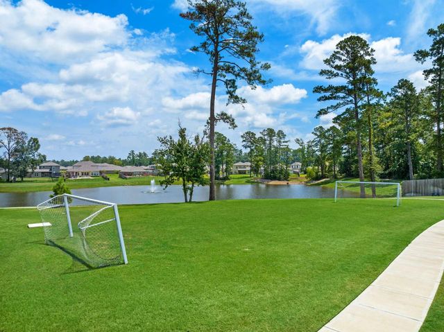 16 Courageous Side Way, Magnolia, TX 77354