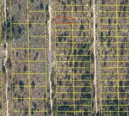130 KANSAS AVENUE, Hawthorne, FL 32640