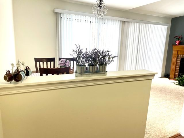 20 Ashburn Court W2, Schaumburg, IL 60193