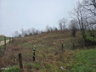 000 Walnut Mountain Road, Roan Mountain, TN 37687