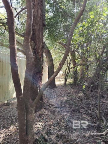 11208 Xanadu Trace, Foley, AL 36535