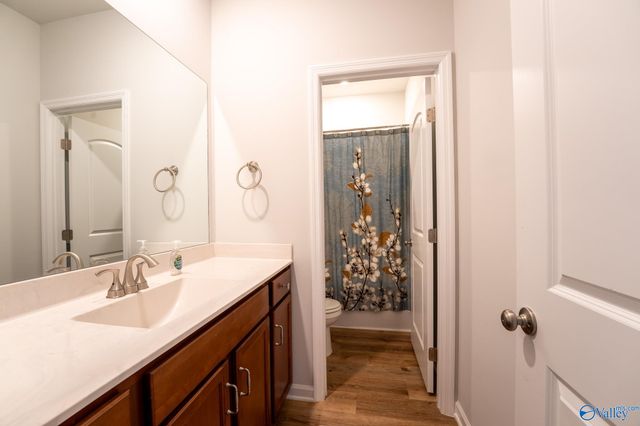 132 Virtue Way, Harvest, AL 35749