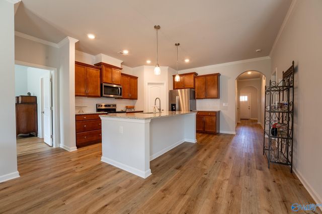 132 Virtue Way, Harvest, AL 35749