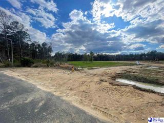 TBD Pandoras Path, Timmonsville, SC 29161
