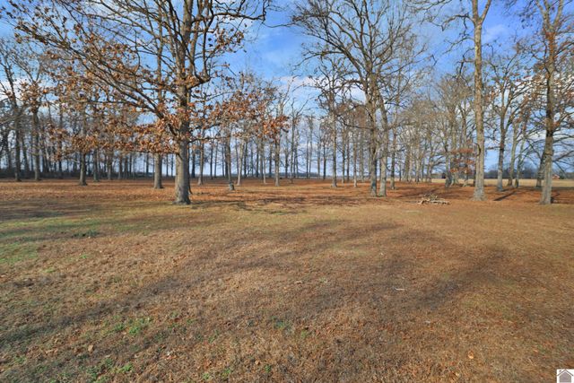 2156 Poor Farm Rd, Murray, KY 42071