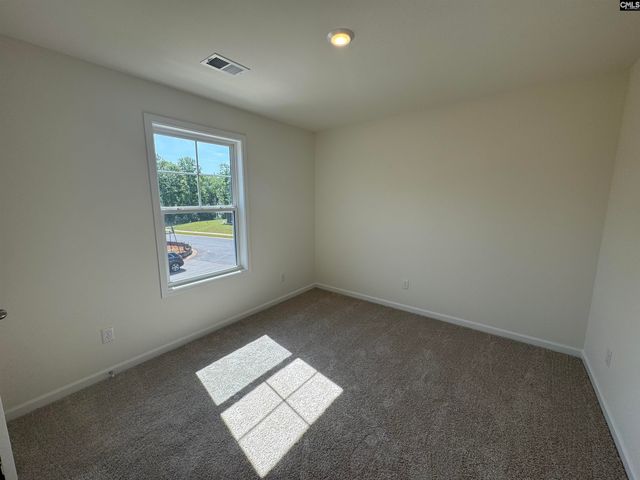 530 Griffon Drive, Chapin, SC 29036