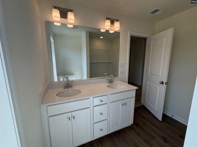 530 Griffon Drive, Chapin, SC 29036